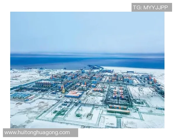 亚马尔地区的资源开发与国际合作新机遇探讨