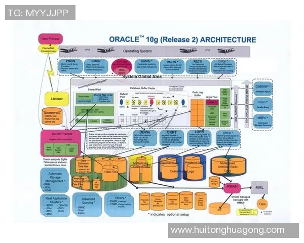 南京攀岩队节奏表现数据分析揭示训练效果与比赛成绩之间的关系